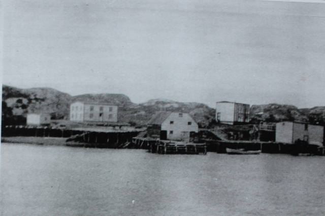 Best’s Dairy Shed 1927, Merasheen. It was a large house with six windows facing south and six windows facing east. There was a large fish flake built over the beach and a huge wharf, stage, and twine loft. Note the fine bridge from the bank to the store loft and wharf. The Best’s premises are to the far right and Bert and Stella Best’s first house above the premises.